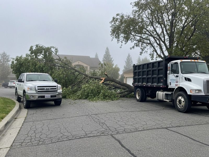 Emergency Exit Clearance Hauling Modesto Ca