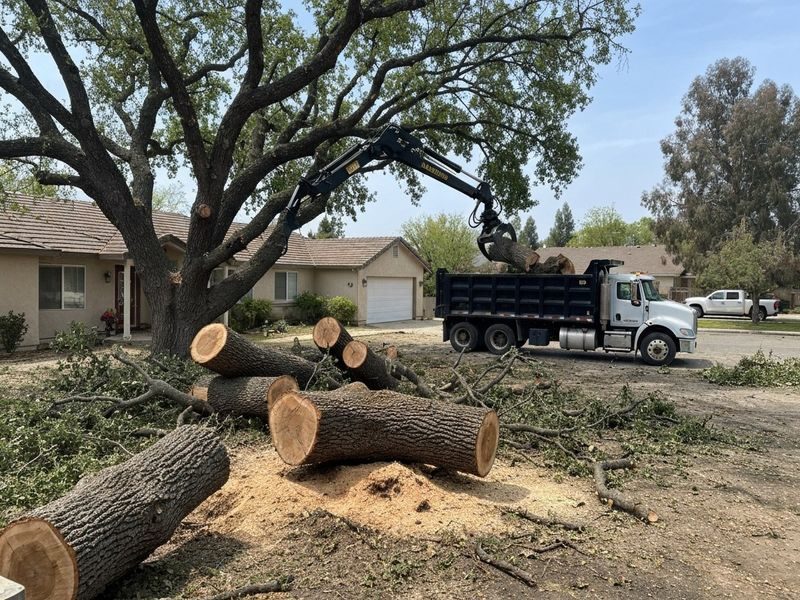 Residential Roof Emergency Debris Modesto Ca